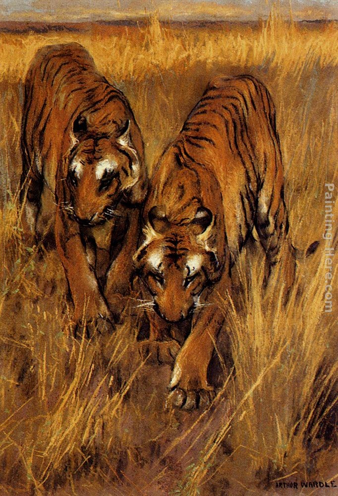 Arthur Wardle Tigers